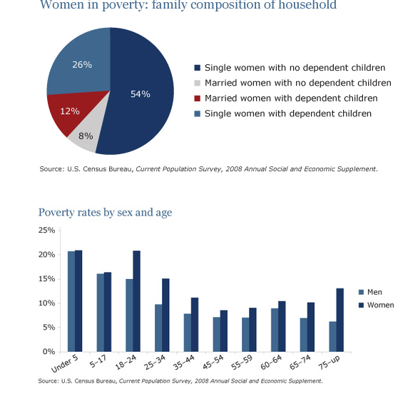 The Pie Chart Shows The Percentage Of Women In Poverty And The Bar Chart Shows Poverty Rates By
